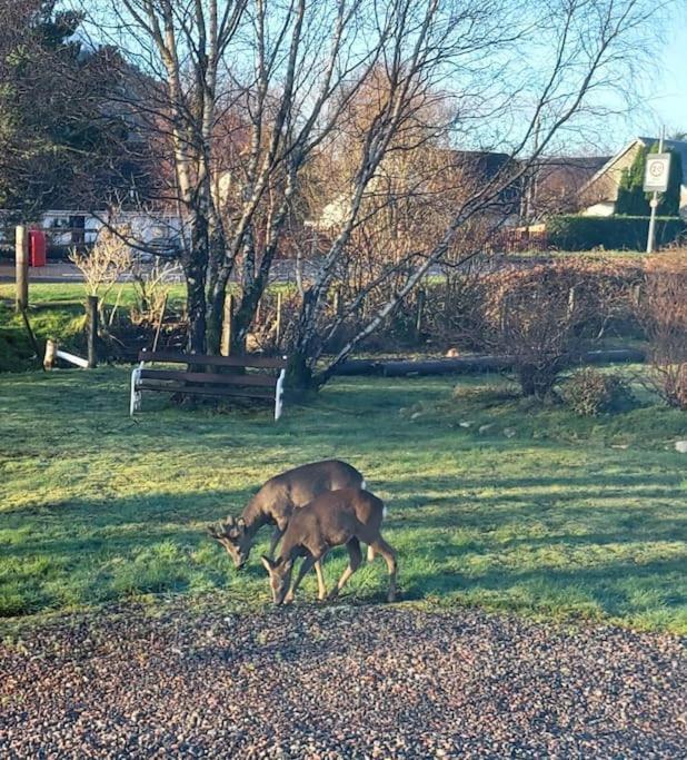 Roe Deer Cottage near Glencoe Fort William Buitenkant foto